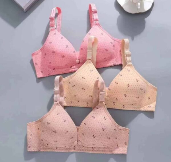 BH La Paris Menyusui 2119