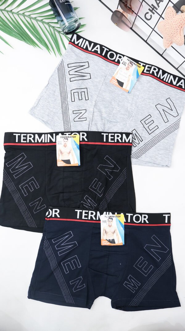 CD Boxer Terminator 3088